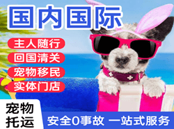 兴义万峰林空运公司国际宠物托运 【国